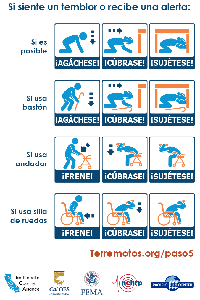Infografía: Si sientes temblores, o recibes una alerta - Si es posible, Tírate al suelo, Cúbrete la cabeza, Agárrate a algo resistente. Si utilizas un andador o una silla de ruedas, Bloquea las ruedas, Cúbrete la cabeza y sujétate o apóyate.